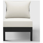 Polytrends Birchwood All Weather HDPE Outdoor Patio Deep Seating Black Armless Chair With Cushions (1-Piece)