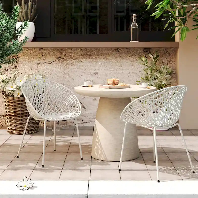 Christopher Knight Home - Neiman Modern and Durable Dining Chairs, Set of 2