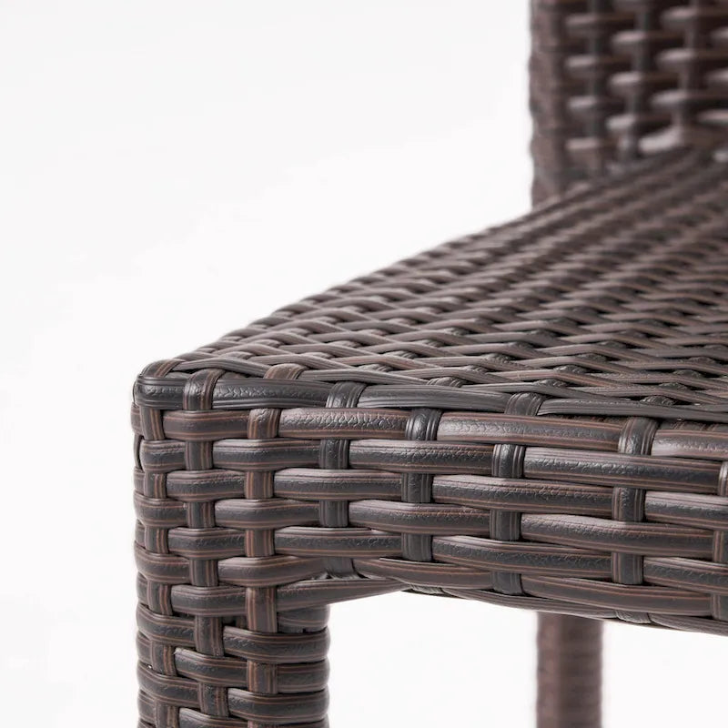 Christopher Knight Home Joyce Outdoor Wicker Dining Chairs (Set of 2)