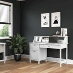 54" Computer Desk with Drawers & Desktop Organizer – Espresso Oak / Gray / Black / White, Single User