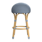 Tobias Outdoor Rattan and Metal Low Back Counter Stool