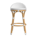 Tobias Outdoor Rattan and Metal Low Back Counter Stool