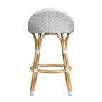 Tobias Outdoor Rattan and Metal Low Back Counter Stool