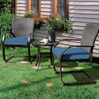 Bistro Steel Frame Outdoor Patio Dining Chair With Cushions (2-Pack) - N/A