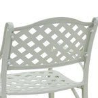 Set of 2 Cast Aluminum Stationary Dining Chairs