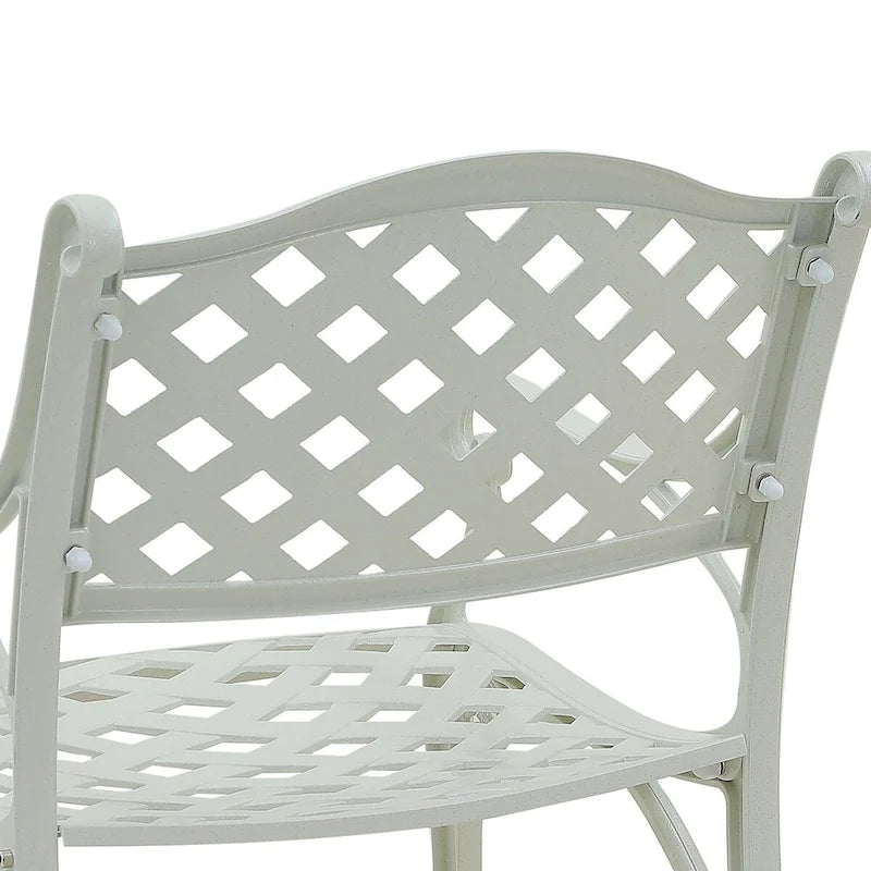Set of 2 Cast Aluminum Stationary Dining Chairs