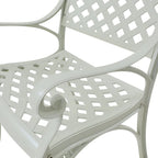 Set of 2 Cast Aluminum Stationary Dining Chairs